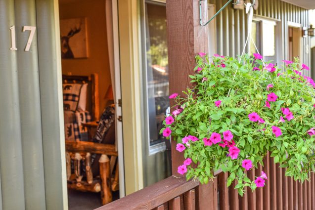 beautiful flowers on property