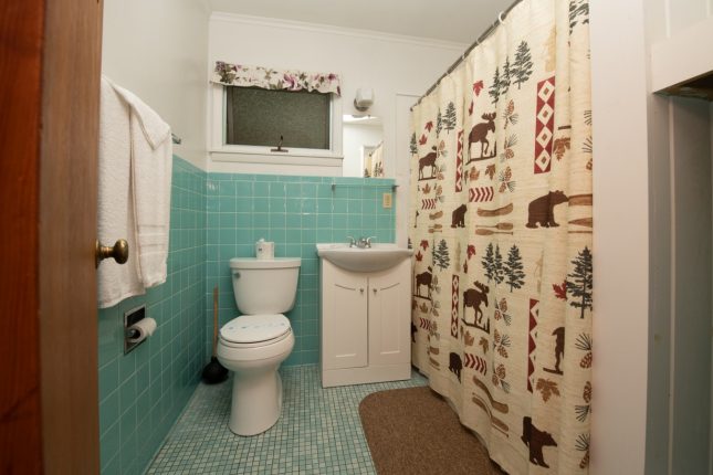 Shore Meadows LakeHouse Cabin 9 Bathroom View